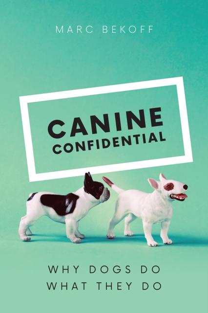Canine Confidential : Why Dogs Do What They Do, Hardback Book