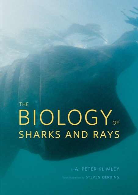 The Biology of Sharks and Rays, Hardback Book