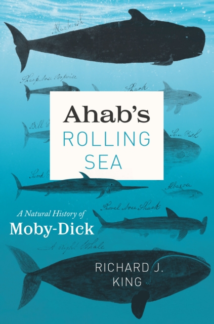 Ahab's Rolling Sea : A Natural History of "Moby-Dick", EPUB eBook