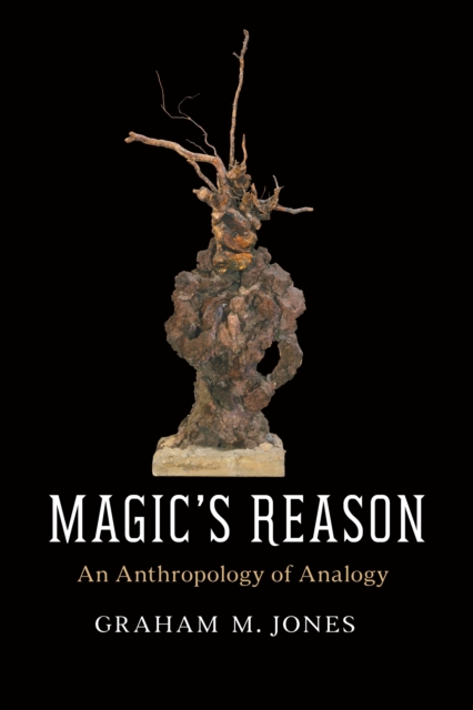 Magic's Reason : An Anthropology of Analogy, EPUB eBook