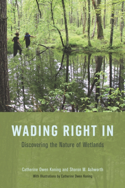 Wading Right In : Discovering the Nature of Wetlands, EPUB eBook
