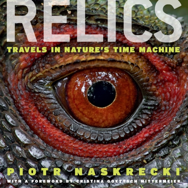 Relics : Travels in Nature's Time Machine, PDF eBook