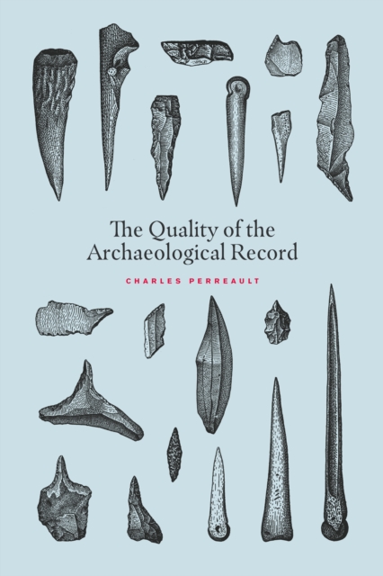 The Quality of the Archaeological Record, EPUB eBook