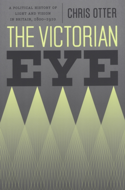 The Victorian Eye : A Political History of Light and Vision in Britain, 1800-1910, PDF eBook