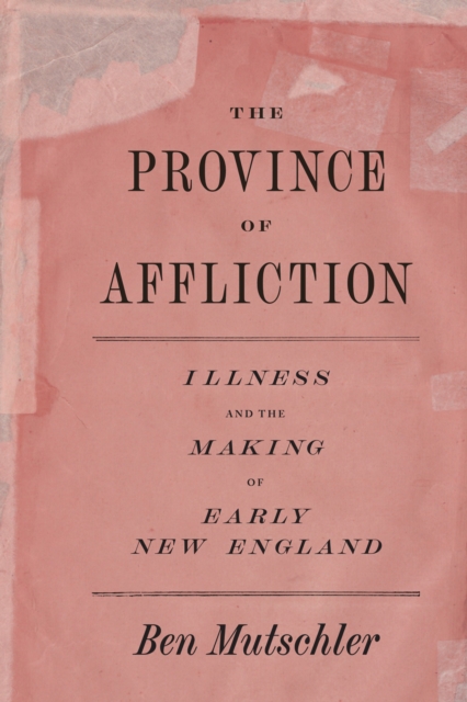 The Province of Affliction : Illness and the Making of Early New England, EPUB eBook