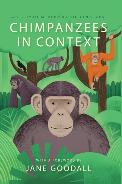 Chimpanzees in Context : A Comparative Perspective on Chimpanzee Behavior, Cognition, Conservation, and Welfare, Paperback / softback Book