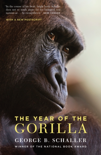 The Year of the Gorilla, PDF eBook