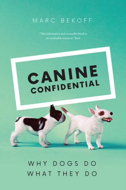 Canine Confidential : Why Dogs Do What They Do, Paperback / softback Book