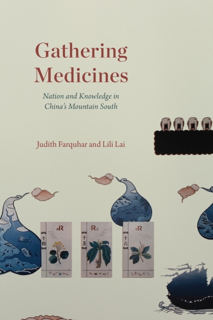 Gathering Medicines : Nation and Knowledge in China's Mountain South, Paperback / softback Book
