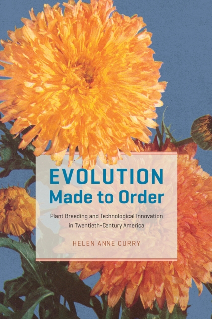Evolution Made to Order : Plant Breeding and Technological Innovation in Twentieth-Century America, Paperback / softback Book