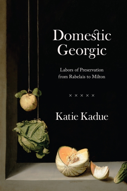 Domestic Georgic : Labors of Preservation from Rabelais to Milton, Paperback / softback Book