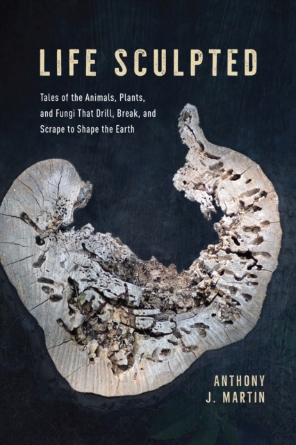 Life Sculpted : Tales of the Animals, Plants, and Fungi That Drill, Break, and Scrape to Shape the Earth, Hardback Book