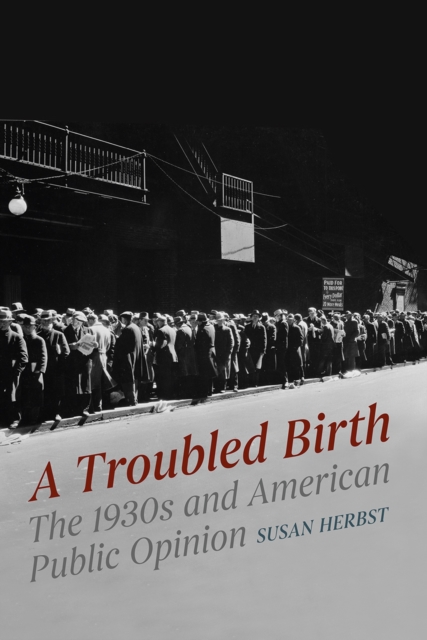 A Troubled Birth : The 1930s and American Public Opinion, Paperback / softback Book