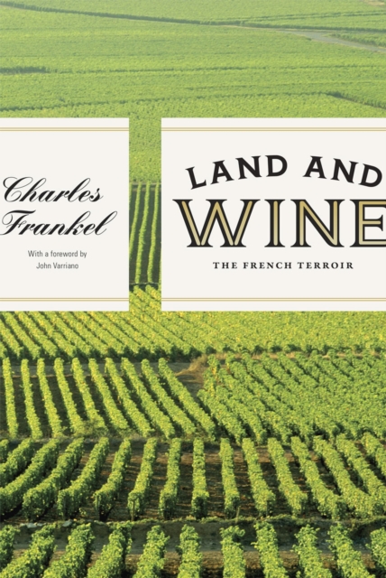 Land and Wine : The French Terroir, Paperback / softback Book