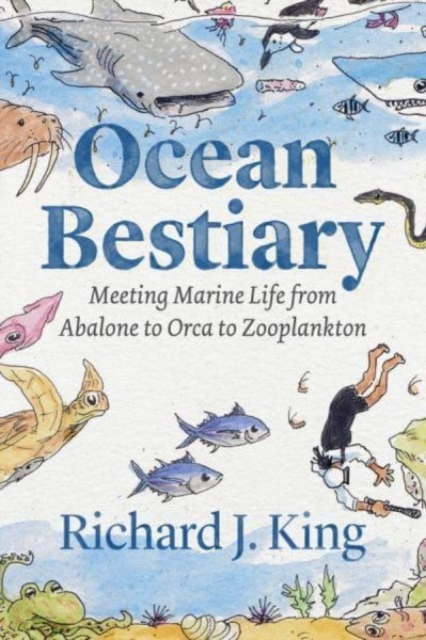 Ocean Bestiary : Meeting Marine Life from Abalone to Orca to Zooplankton, Hardback Book