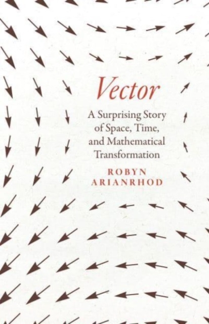 Vector : A Surprising Story of Space, Time, and Mathematical Transformation, Hardback Book