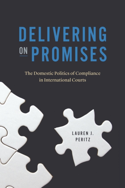 Delivering on Promises : The Domestic Politics of Compliance in International Courts, Paperback / softback Book
