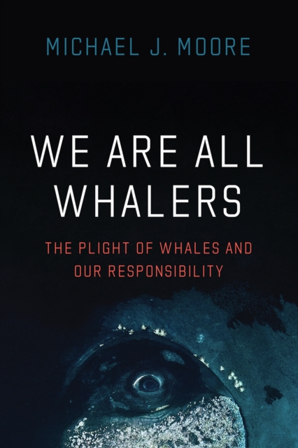 We Are All Whalers : The Plight of Whales and Our Responsibility, Paperback / softback Book