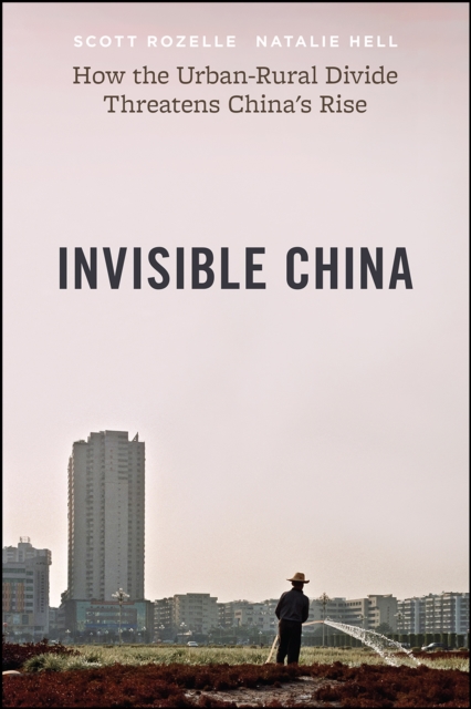 Invisible China : How the Urban-Rural Divide Threatens China's Rise, Paperback / softback Book