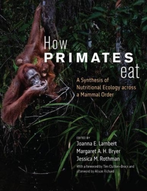 How Primates Eat : A Synthesis of Nutritional Ecology across a Mammal Order, Hardback Book