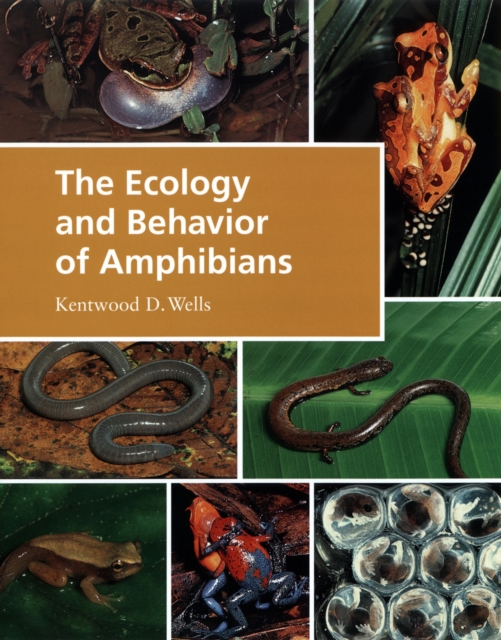 The Ecology and Behavior of Amphibians, PDF eBook