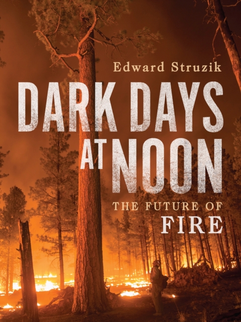 Dark Days at Noon : The Future of Fire, Hardback Book