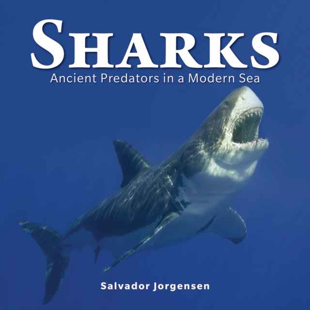 Sharks : Ancient Predators in a Modern Sea, Paperback / softback Book