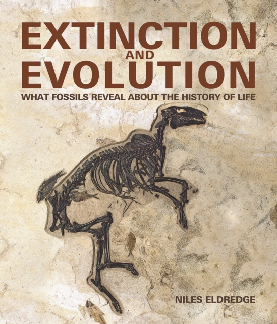 Extinction and Evolution : What Fossils Reveal about the History of Life, Paperback / softback Book