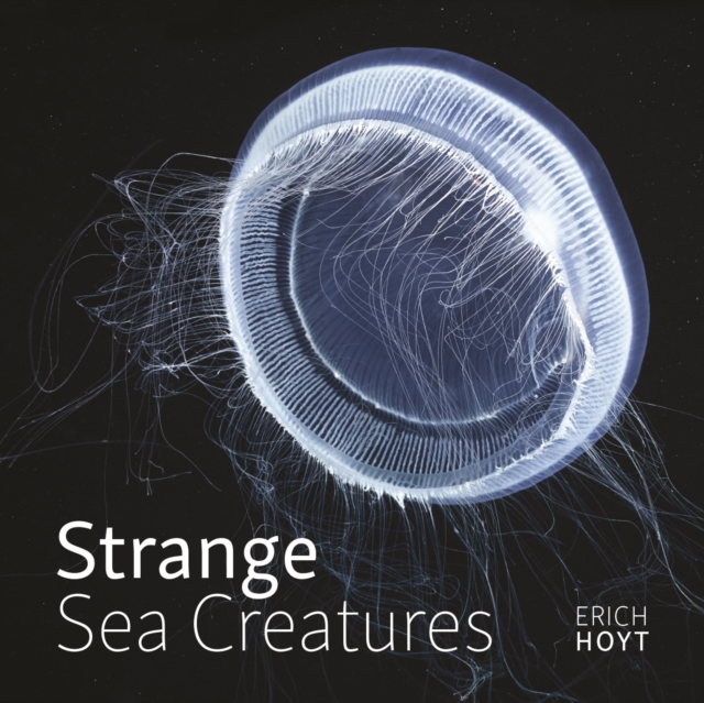 Strange Sea Creatures, Hardback Book