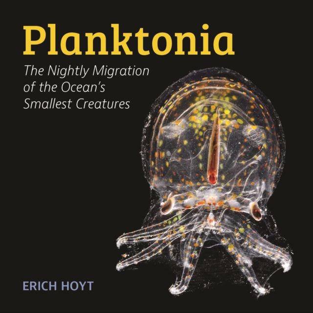 Planktonia : The Nightly Migration of the Ocean's Smallest Creatures, Hardback Book