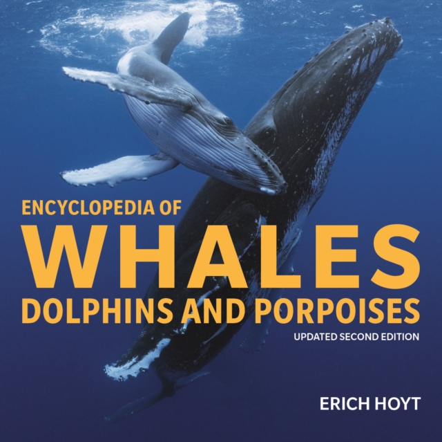 Encyclopedia of Whales, Dolphins & Porpoises, Paperback / softback Book