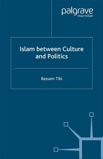 Islam Between Culture and Politics, PDF eBook