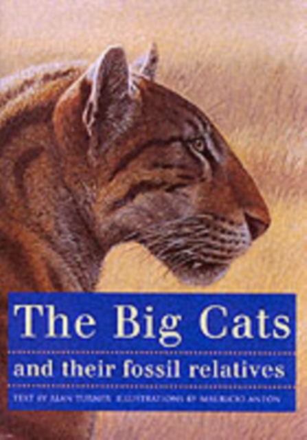 The Big Cats and Their Fossil Relatives : An Illustrated Guide to Their Evolution and Natural History, Paperback / softback Book