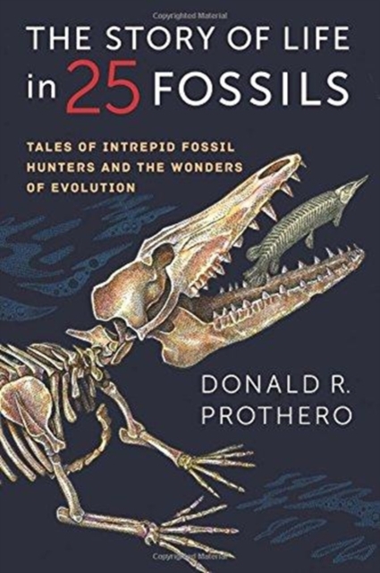 The Story of Life in 25 Fossils : Tales of Intrepid Fossil Hunters and the Wonders of Evolution, Paperback / softback Book