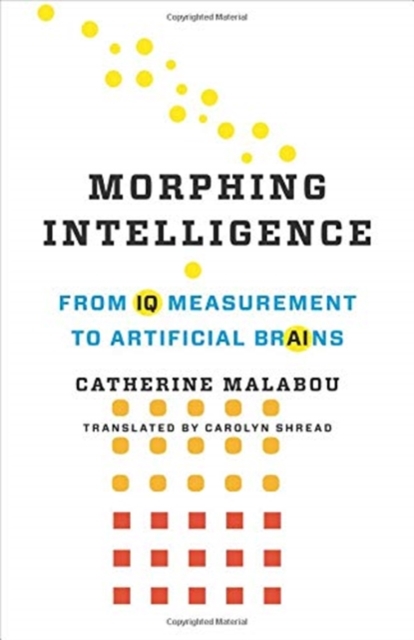 Morphing Intelligence : From IQ Measurement to Artificial Brains, Hardback Book