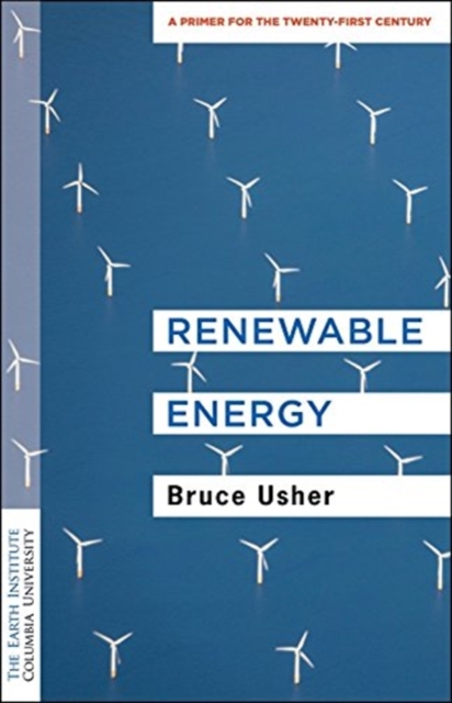 Renewable Energy : A Primer for the Twenty-First Century, Hardback Book