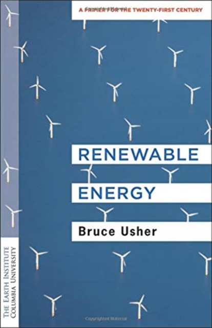 Renewable Energy : A Primer for the Twenty-First Century, Paperback / softback Book