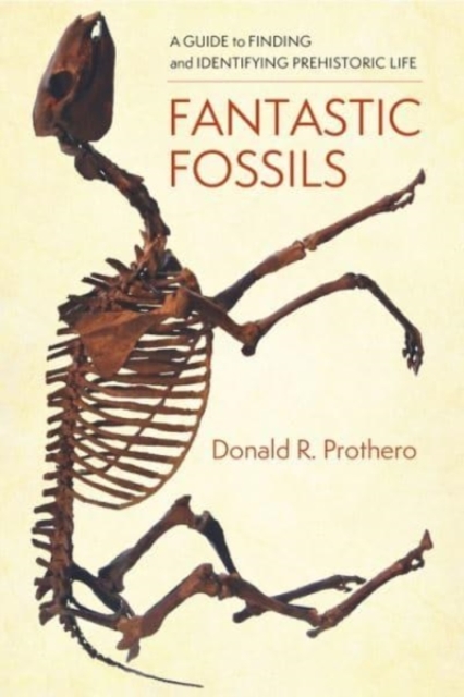 Fantastic Fossils : A Guide to Finding and Identifying Prehistoric Life, Paperback / softback Book