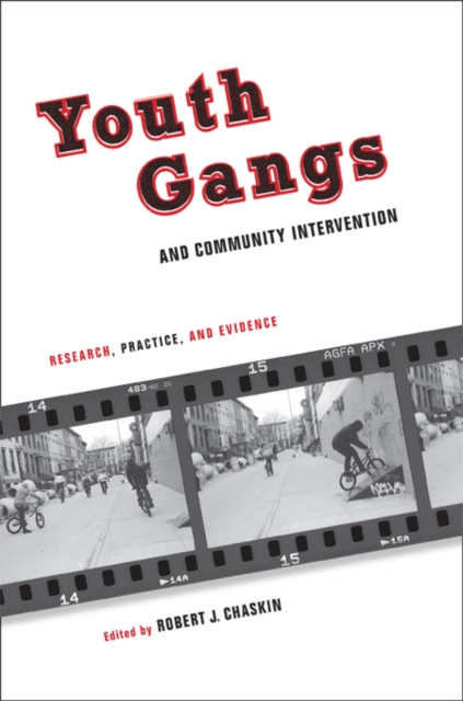 Youth Gangs and Community Intervention : Research, Practice, and Evidence, EPUB eBook