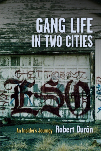 Gang Life in Two Cities : An Insider's Journey, EPUB eBook