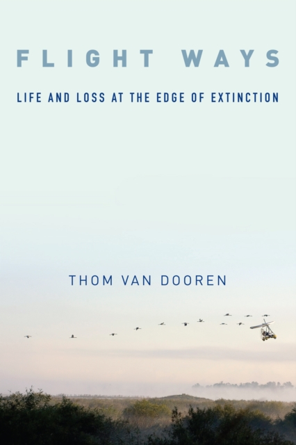 Flight Ways : Life and Loss at the Edge of Extinction, EPUB eBook