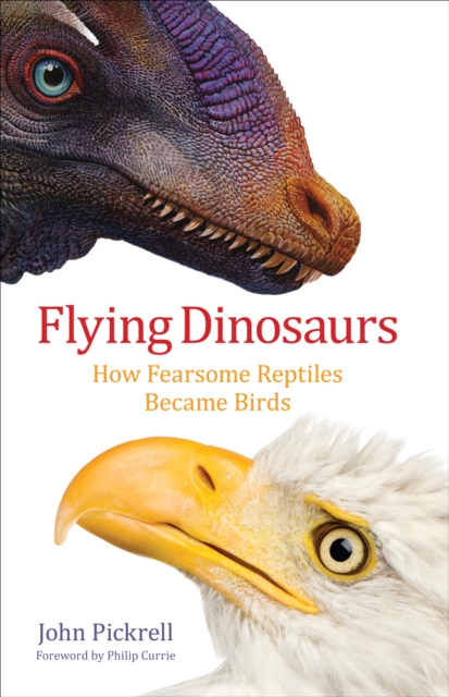 Flying Dinosaurs : How Fearsome Reptiles Became Birds, EPUB eBook
