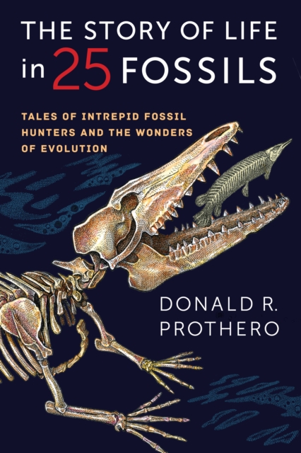 The Story of Life in 25 Fossils : Tales of Intrepid Fossil Hunters and the Wonders of Evolution, EPUB eBook