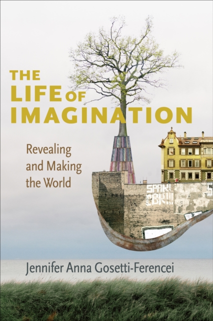 The Life of Imagination : Revealing and Making the World, EPUB eBook