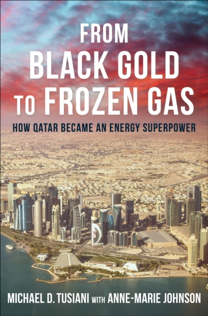 From Black Gold to Frozen Gas : How Qatar Became an Energy Superpower, EPUB eBook