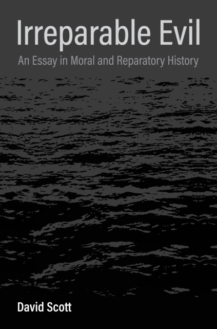 Irreparable Evil : An Essay in Moral and Reparatory History, EPUB eBook