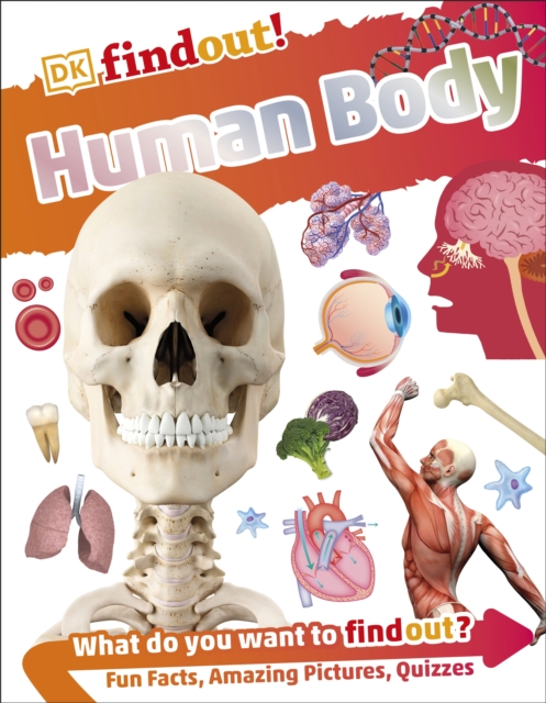 DKfindout! Human Body, Paperback / softback Book