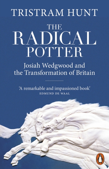 The Radical Potter : Josiah Wedgwood and the Transformation of Britain, EPUB eBook