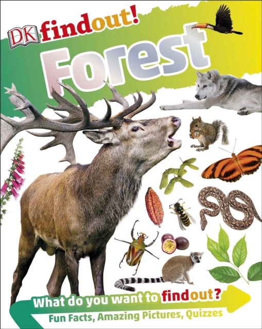 DKfindout! Forest, EPUB eBook