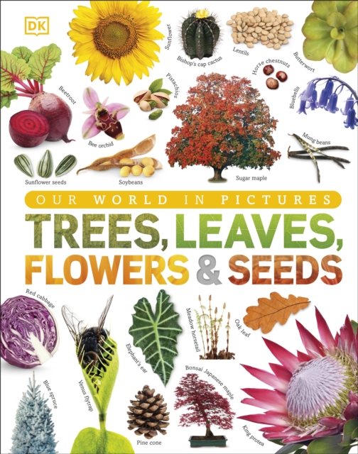 Our World in Pictures: Trees, Leaves, Flowers & Seeds, Hardback Book